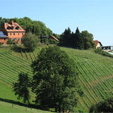 Weingarten Picknick am Kehlberg