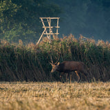 Grazer Jägerball 2025